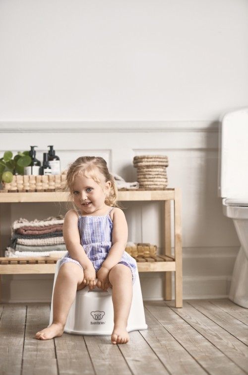 Baby bjorn toilet trainer target sale