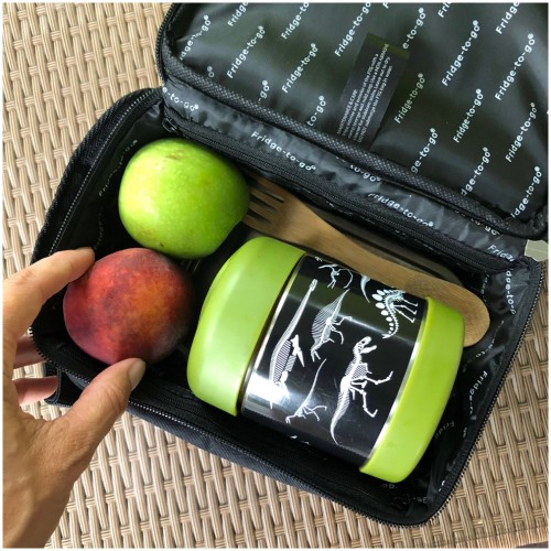 Fridge to go mini 6 fridge cooler bag