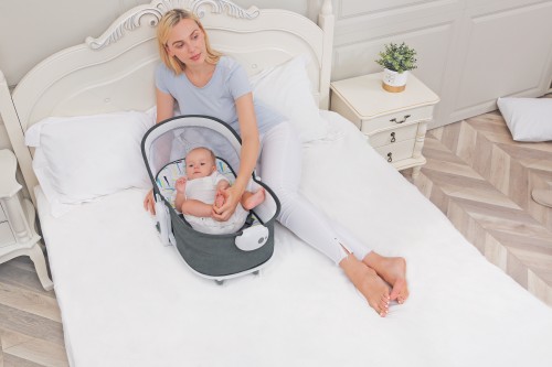 Love and sale care bassinet assembly